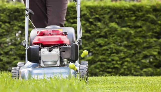 Lawn mowing & gardening in Wollongong