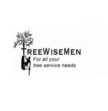 Treewisemen