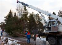 Sioux Falls Tree Care