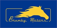 Brumby Motors - Best Car Service Mechanics Sydney Brumby Motors Car service in Sydney