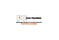 Positive Changes Dog Training Bobby Pablico